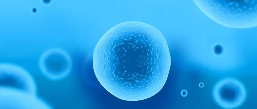 2021最新细胞政策汇总：各地政府纷纷发声，全力推进细胞治疗发展