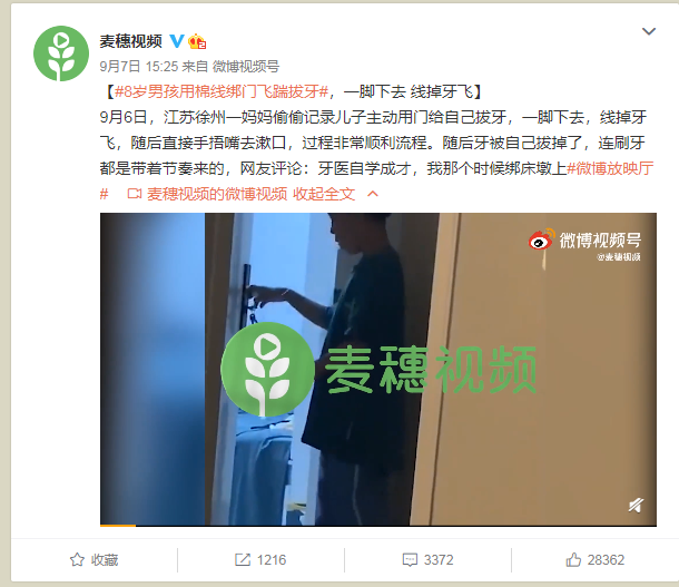 雷竞技RAYBET·(中国)官方网站麦穗视频：泛资讯视频将会成融媒体未来发展新趋(图5)