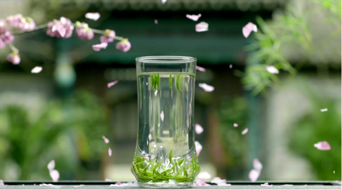 纪连海、张晓龙等文化名家都爱的竹叶青春茶，有这个春天最多的故事