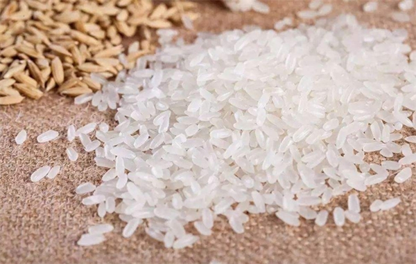 谁说米饭只是餐桌“附属品”，建三江大米以品质征服大众味蕾