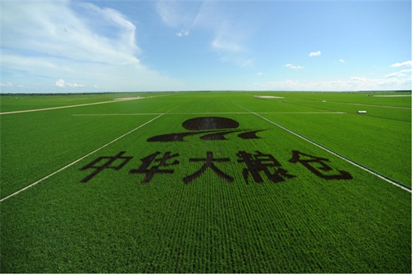 “我在三江有亩田”，云上认养，开启“稻米养成计划”！